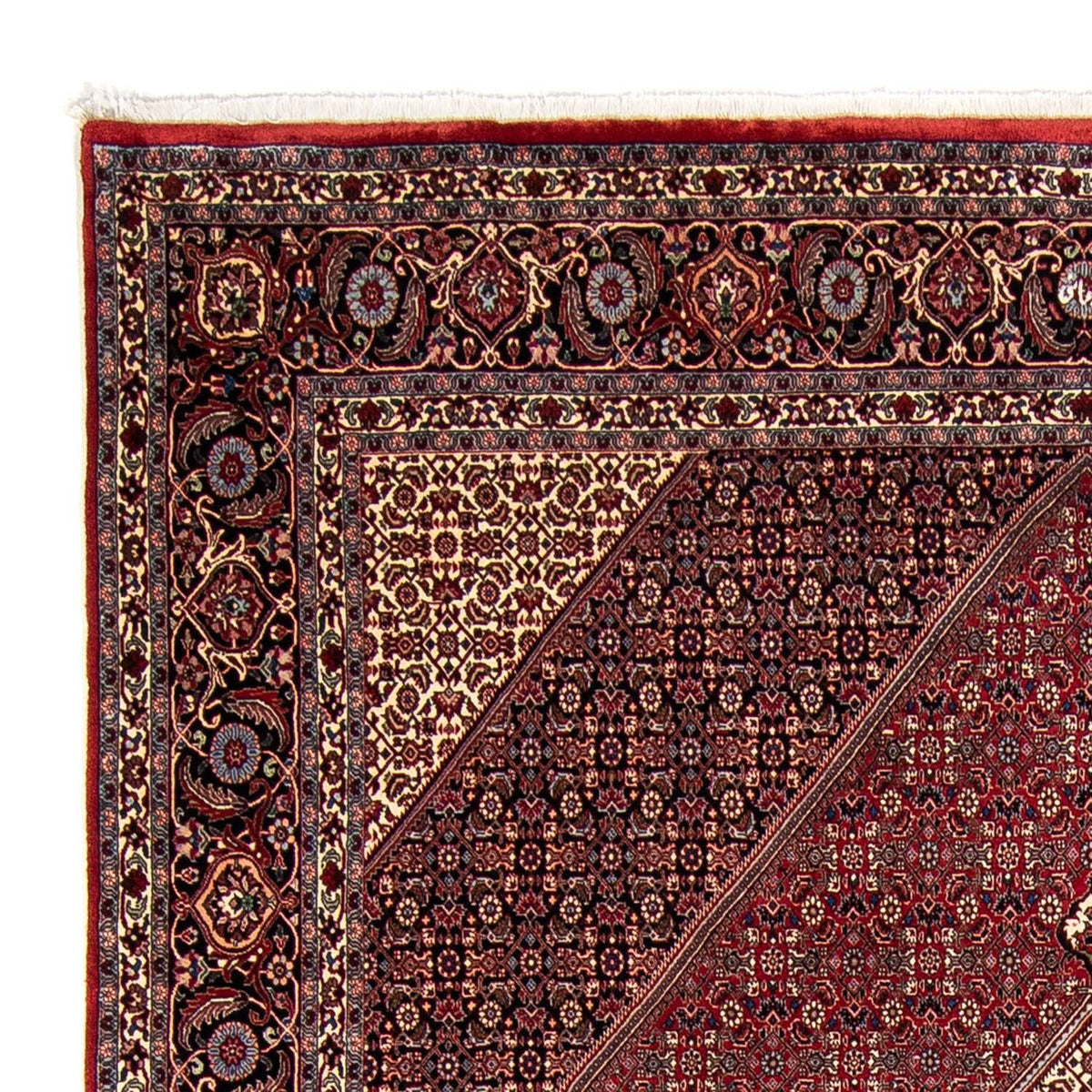 Bidjar Tapete 252x343cm - Tapete persa