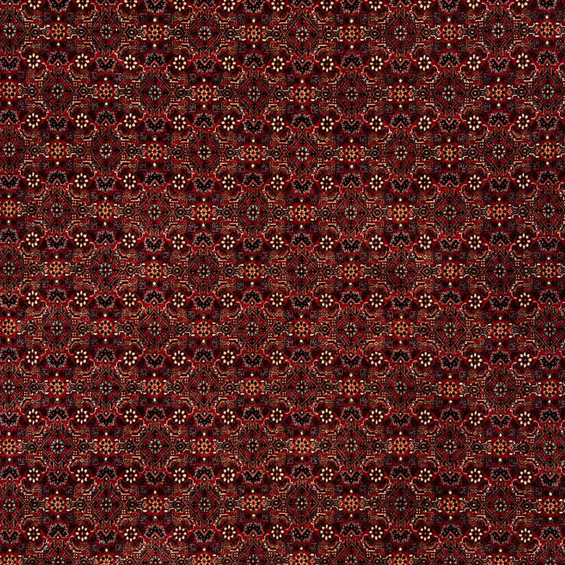 Bidjar Tapete 202x256cm - Tapete persa