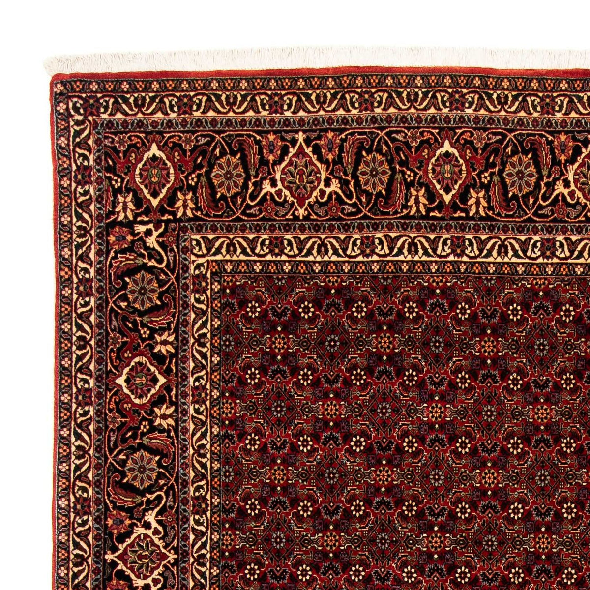 Bidjar Tapete 202x256cm - Tapete persa