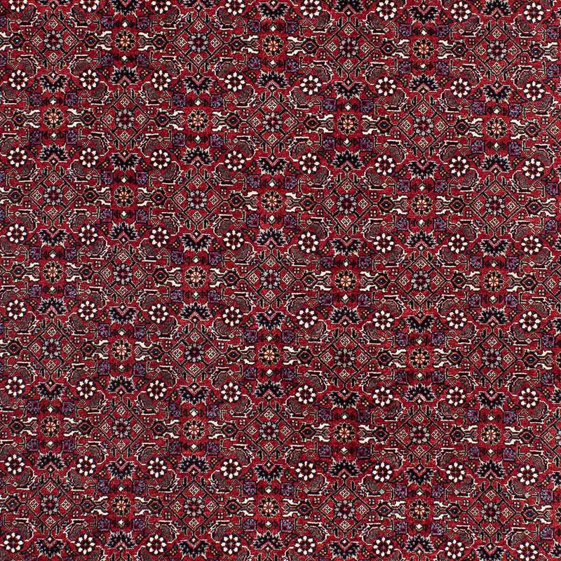 Bidjar Tapete 221x143cm - Tapete persa