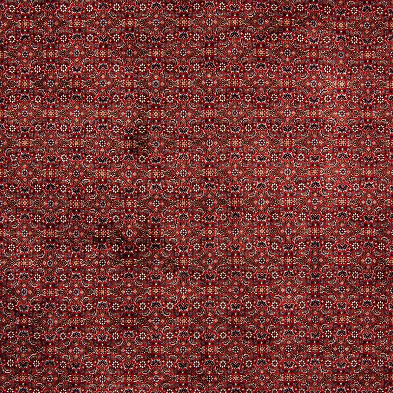 Bidjar Tapete 392x299cm - Tapete persa