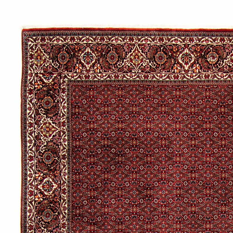 Bidjar Tapete 392x299cm - Tapete persa