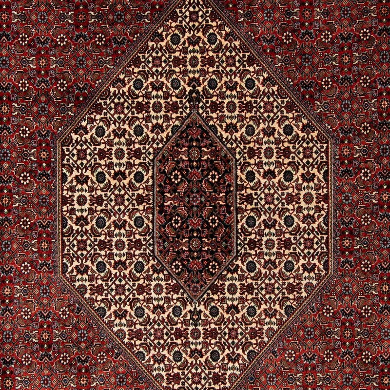 Bidjar Tapete 237x200cm - Tapete persa