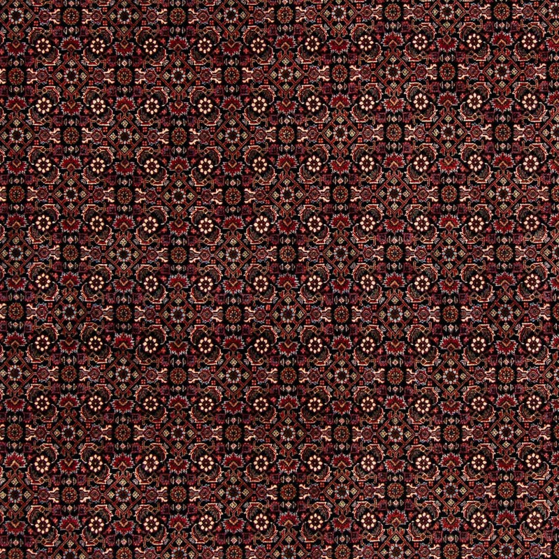 Bidjar Tapete 198x248cm - Tapete persa