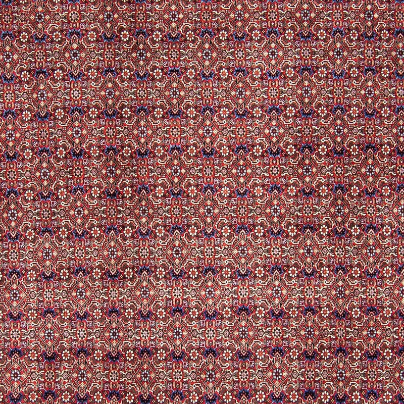 Tapete Persa - Bijar - 292 x 250 cm - vermelho claro