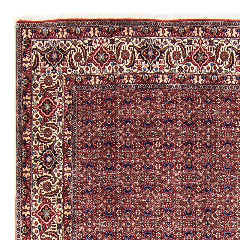 Tapete Persa - Bijar - 292 x 250 cm - vermelho claro