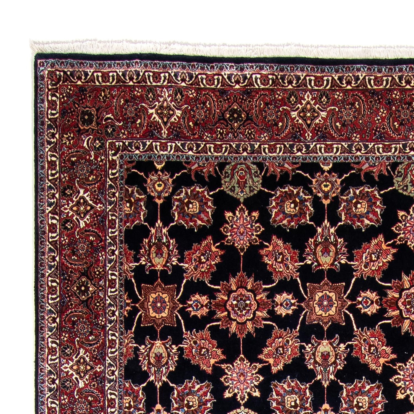 Tapete Persa - Bijar - 350 x 255 cm - azul escuro