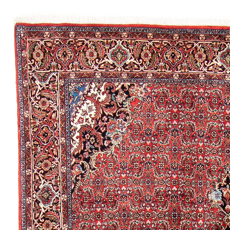 Bidjar Tapete 166x233cm - Tapete persa