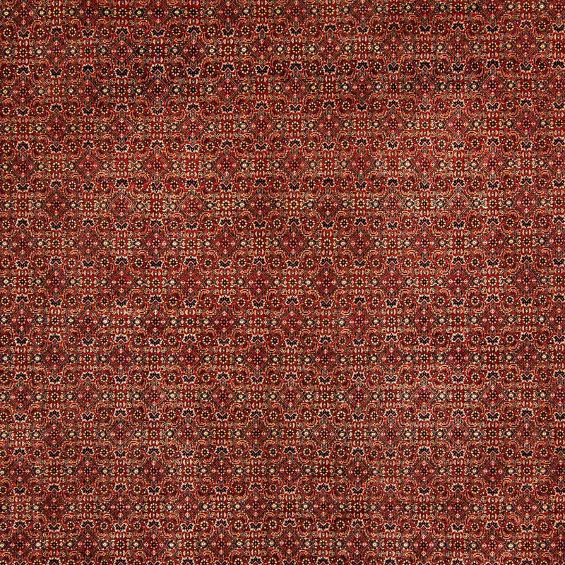 Bidjar Tapete 300x384cm - Tapete persa