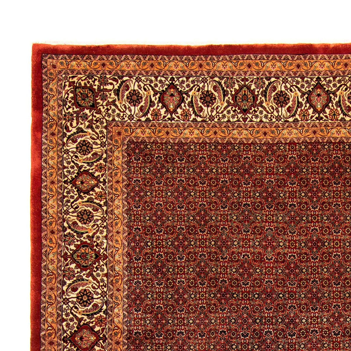 Bidjar Tapete 300x384cm - Tapete persa