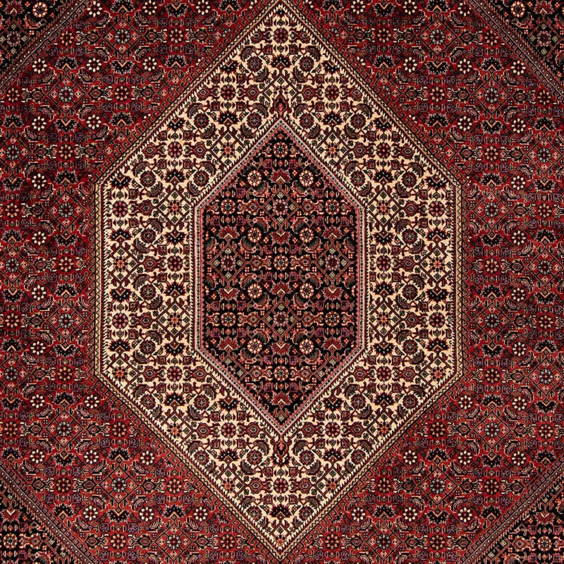 Bidjar Tapete 202x251cm - Tapete persa