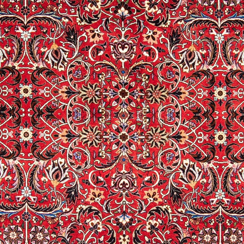 Bidjar Tapete 242x175cm - Tapete persa