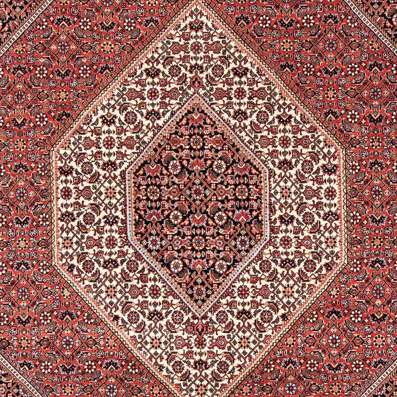 Bidjar Tapete 238x172cm - Tapete persa