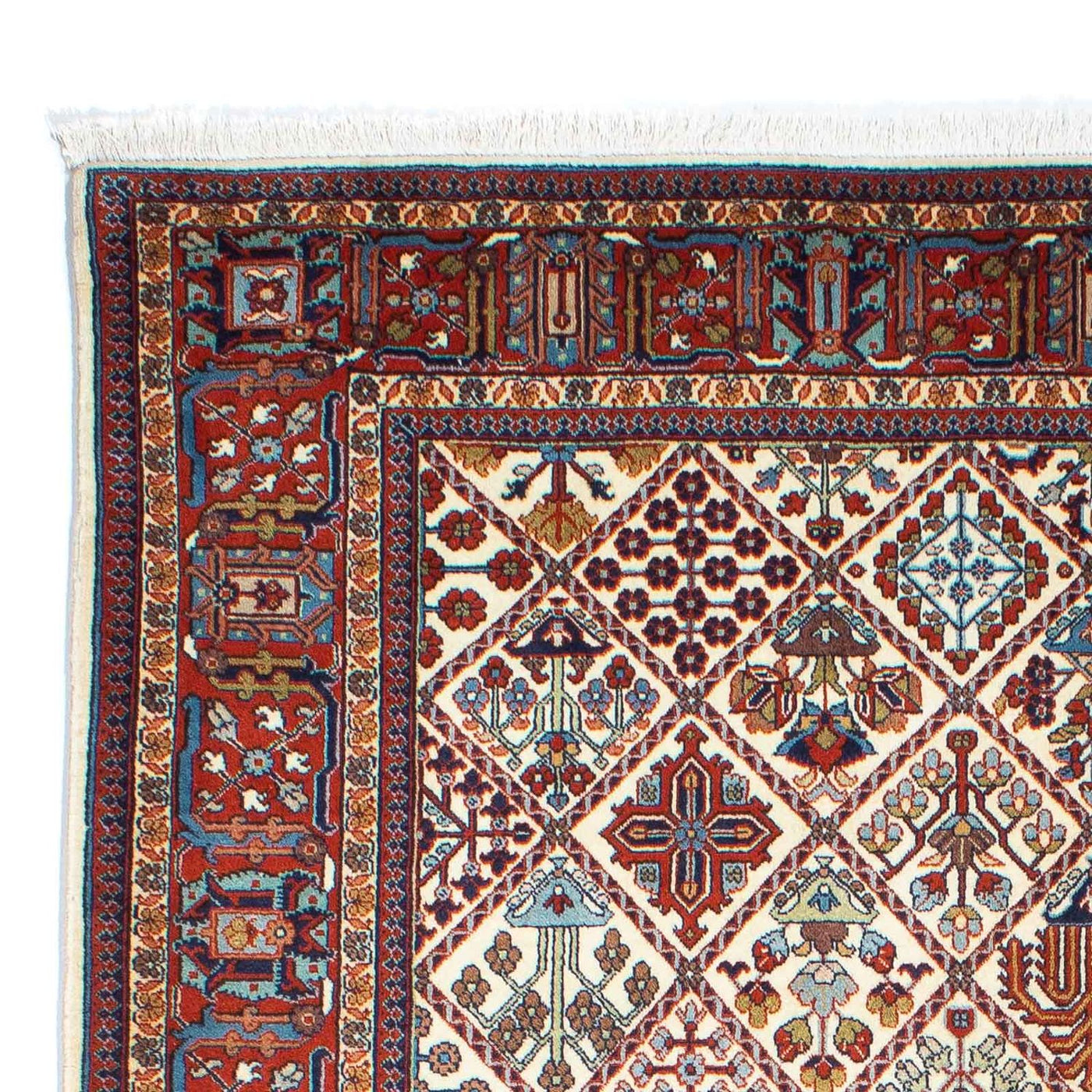 Kashkuli Tapete 250x167cm - Tapete persa