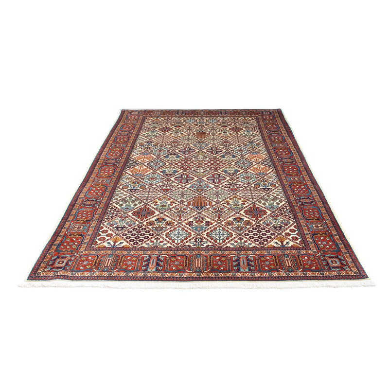 Kashkuli Tapete 250x167cm - Tapete persa
