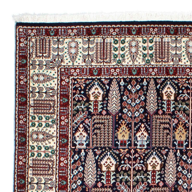 Kashkuli Tapete 174x240cm - Tapete persa