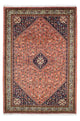 Kashkuli Tapete 240x167cm - Tapete persa