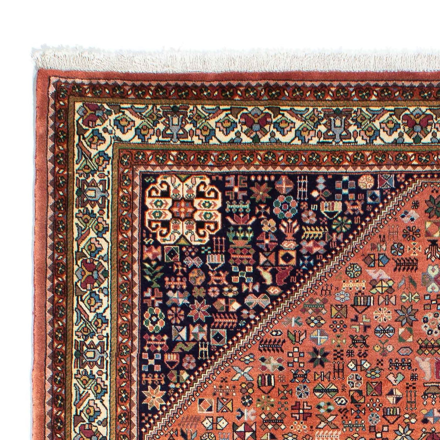 Kashkuli Tapete 240x167cm - Tapete persa