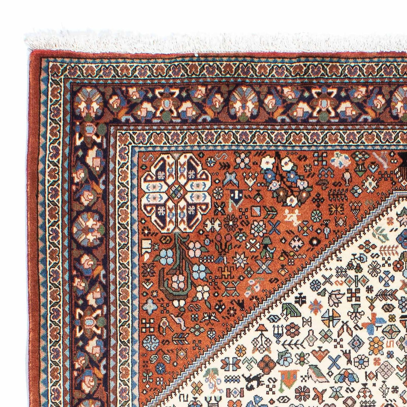 Kashkuli Tapete 204x152cm - Tapete persa