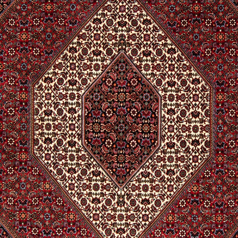 Bidjar Tapete 251x176cm - Tapete persa