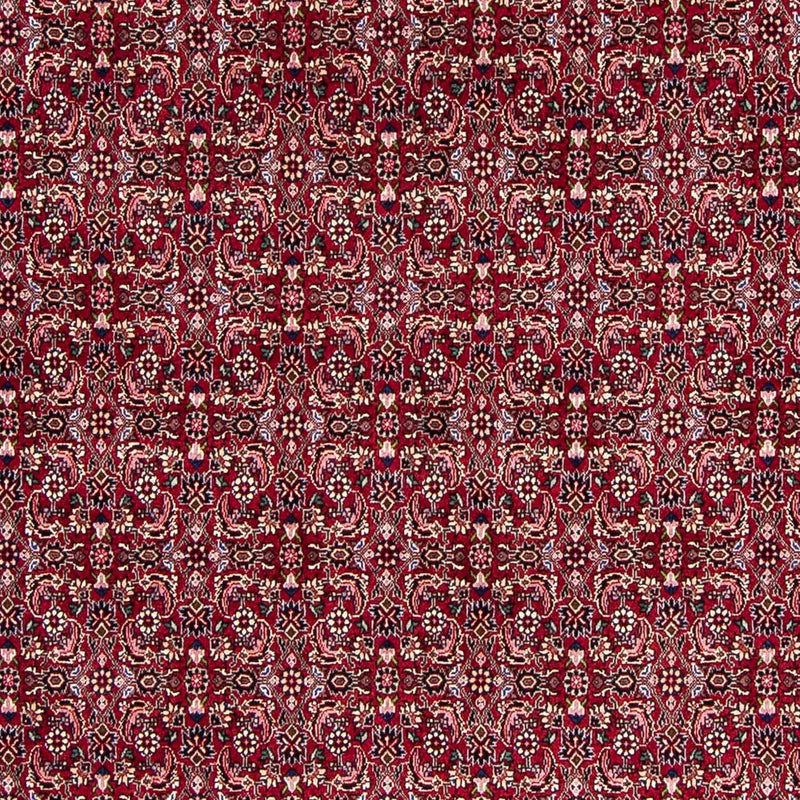 Bidjar Tapete 245x174cm - Tapete persa