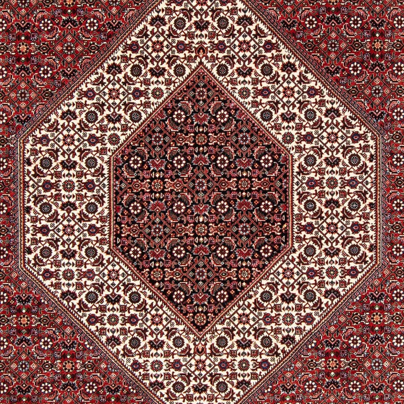 Bidjar Tapete 249x174cm - Tapete persa