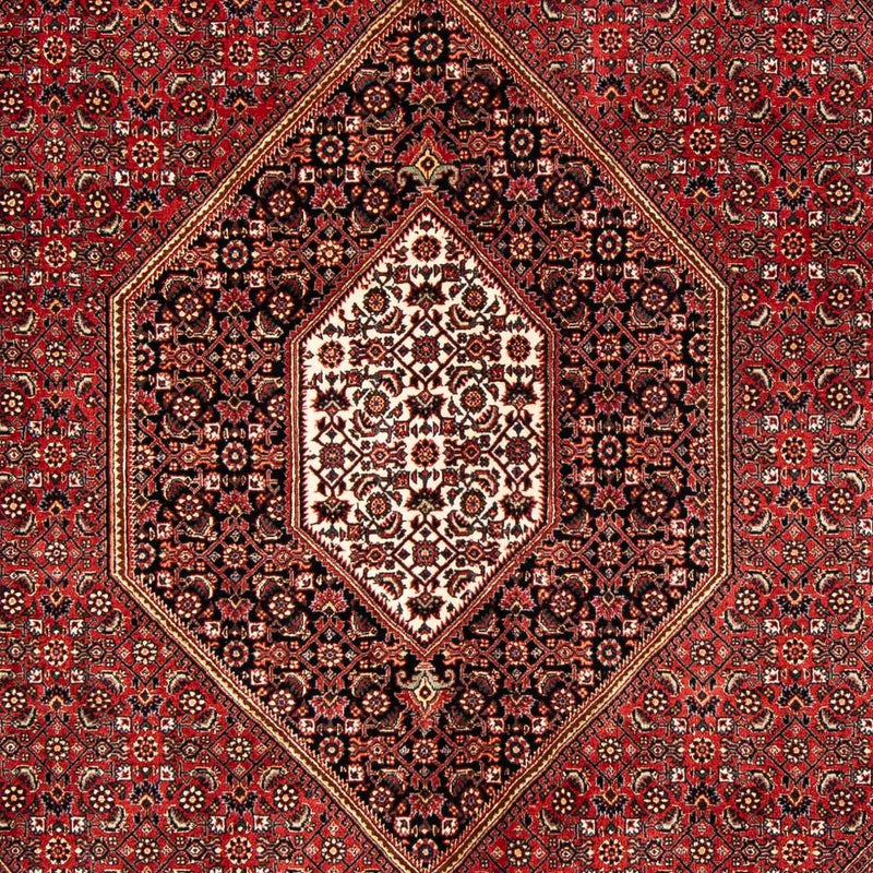 Bidjar Tapete 171x240cm - Tapete persa