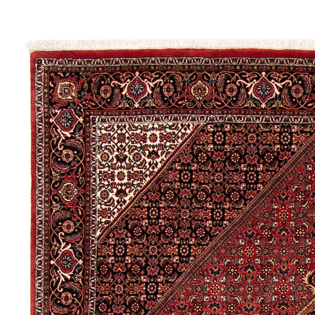 Bidjar Tapete 171x240cm - Tapete persa