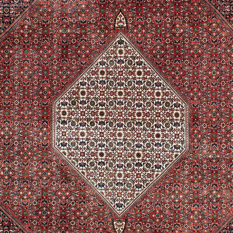 Bidjar Tapete 301x208cm - Tapete persa