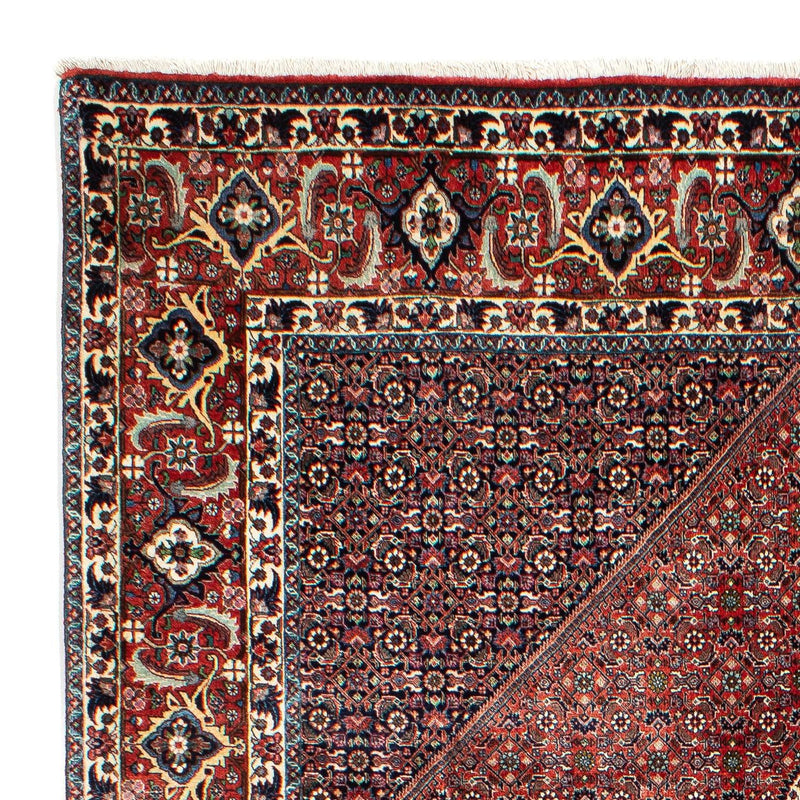 Bidjar Tapete 301x208cm - Tapete persa