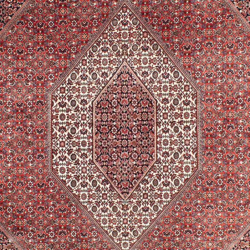 Bidjar Tapete 303x203cm - Tapete persa