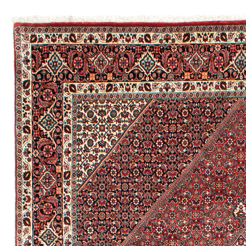 Bidjar Tapete 303x203cm - Tapete persa