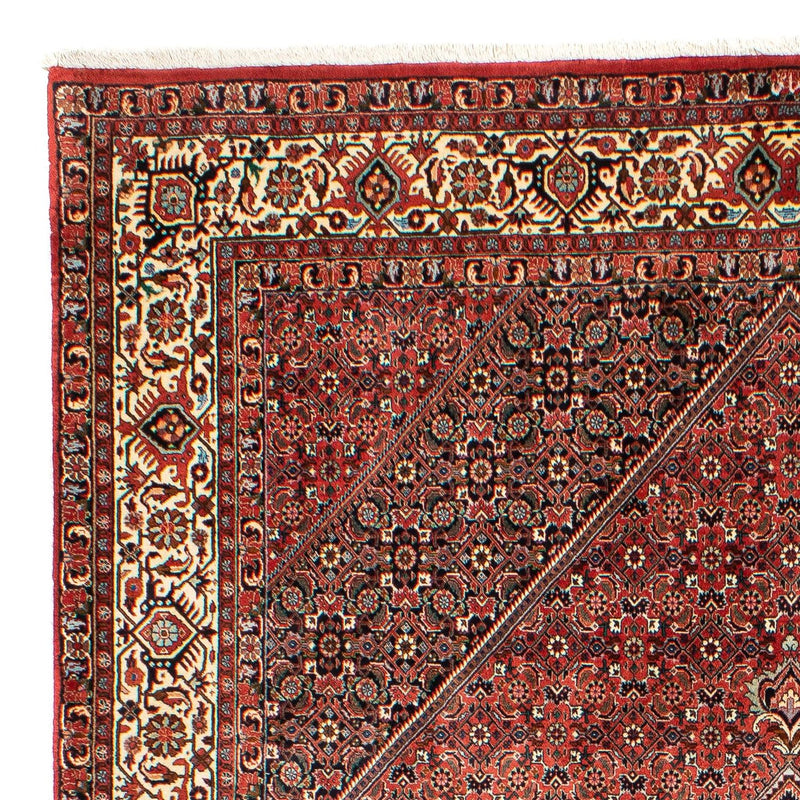 Bidjar Tapete 203x300cm - Tapete persa