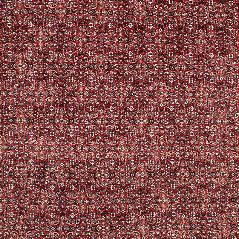 Bidjar Tapete 209x309cm - Tapete persa