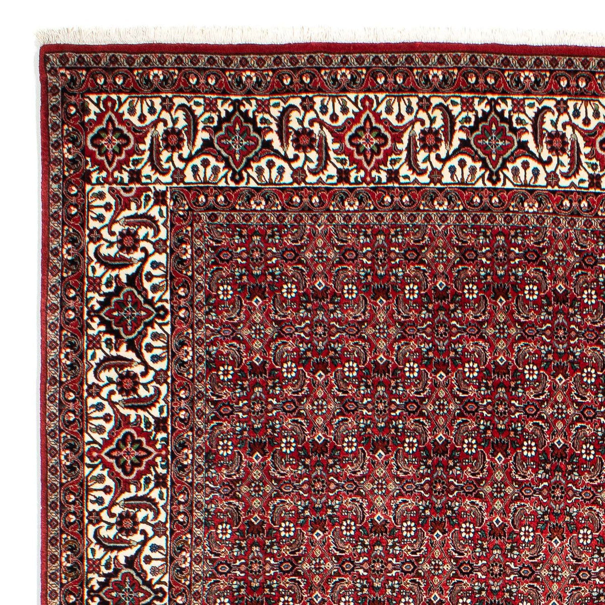 Bidjar Tapete 209x309cm - Tapete persa