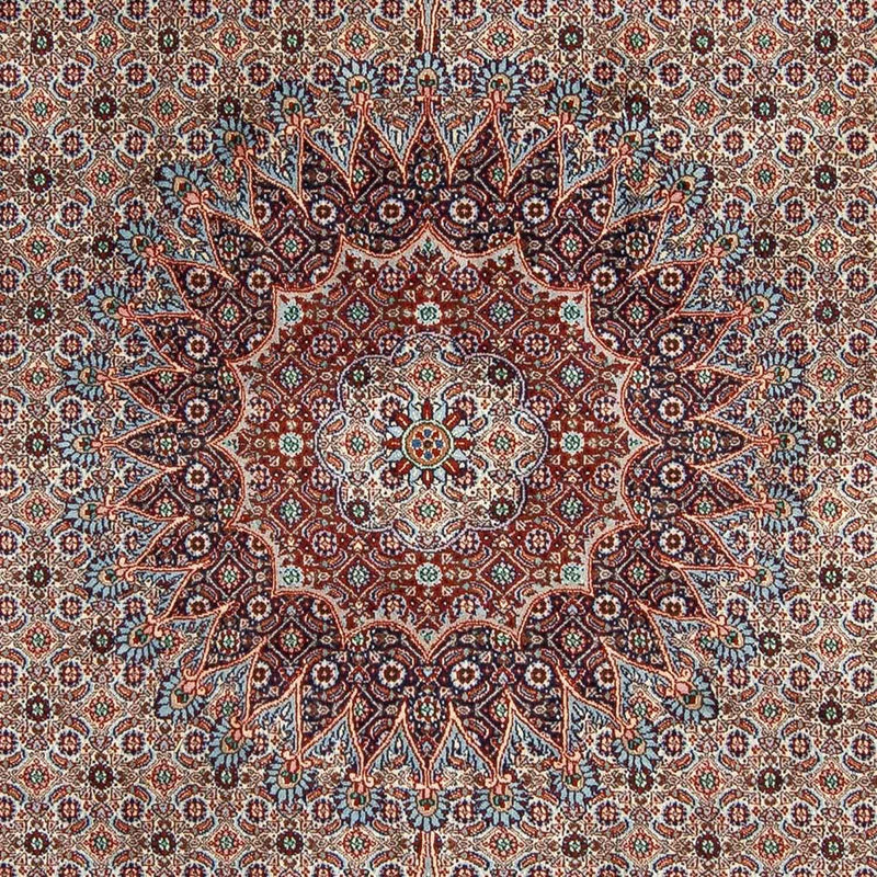 Moud Tapete 298x200cm - Tapete persa