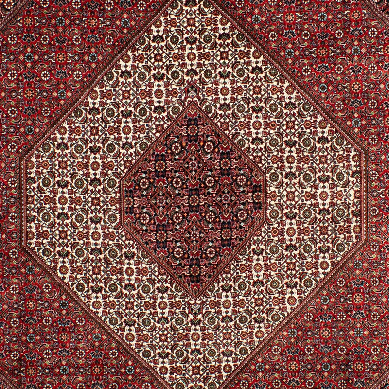 Bidjar Tapete 203x300cm - Tapete persa