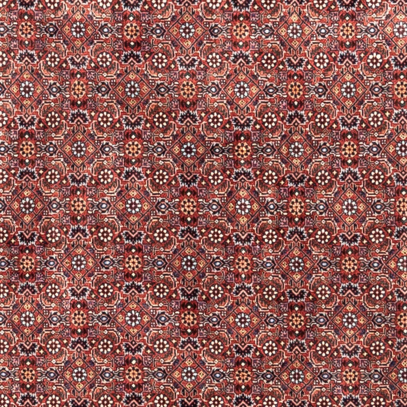 Bidjar - Takab Tapete 306x204cm - Tapete persa