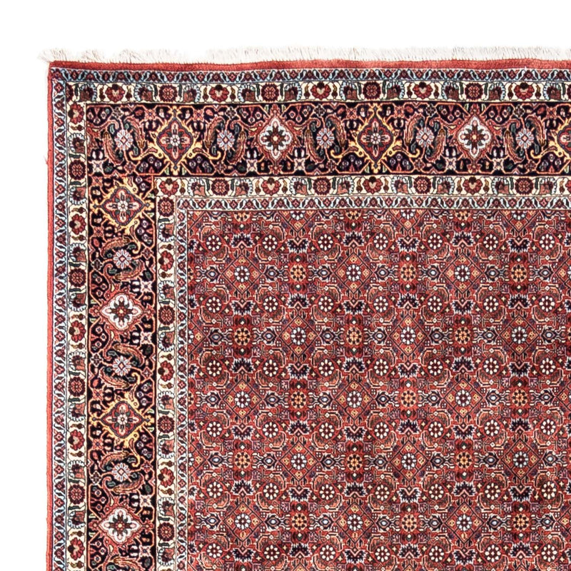 Bidjar - Takab Tapete 306x204cm - Tapete persa