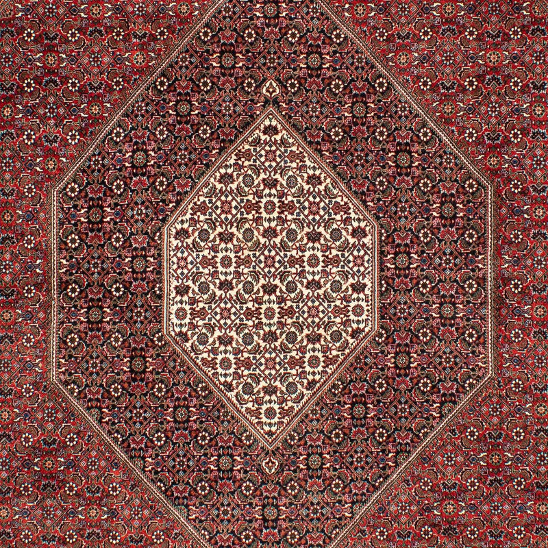 Bidjar Tapete 309x208cm - Tapete persa