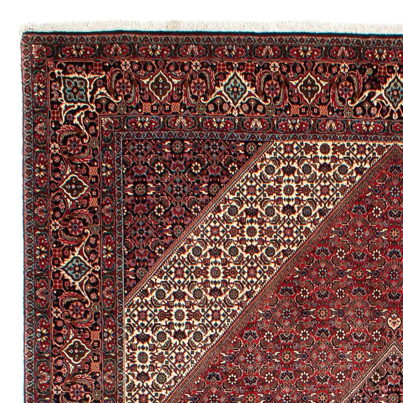 Bidjar Tapete 309x208cm - Tapete persa