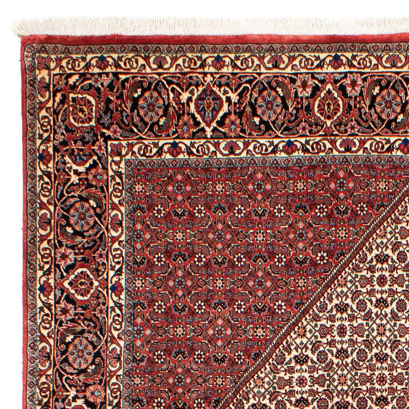 Bidjar Tapete 289x204cm - Tapete persa