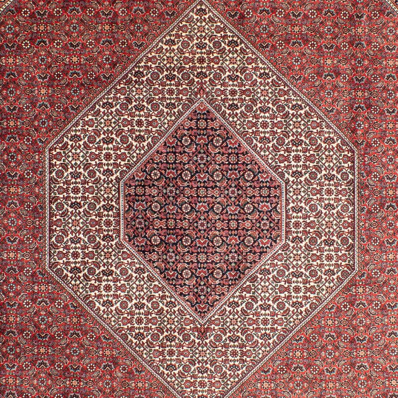 Bidjar Tapete 311x205cm - Tapete persa