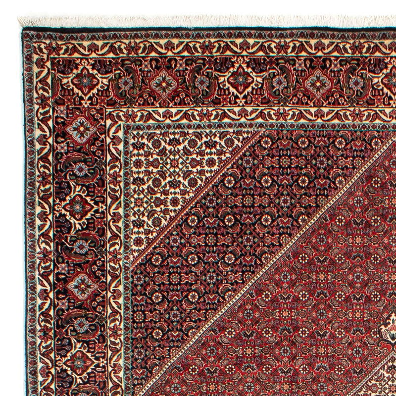 Bidjar Tapete 311x205cm - Tapete persa
