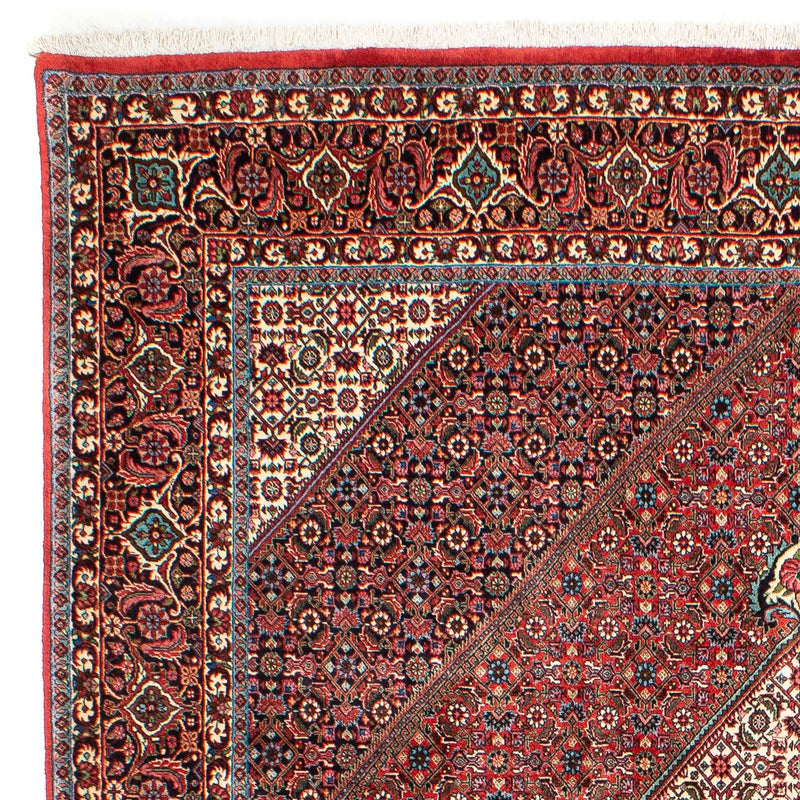 Bidjar Tapete 288x207cm - Tapete persa
