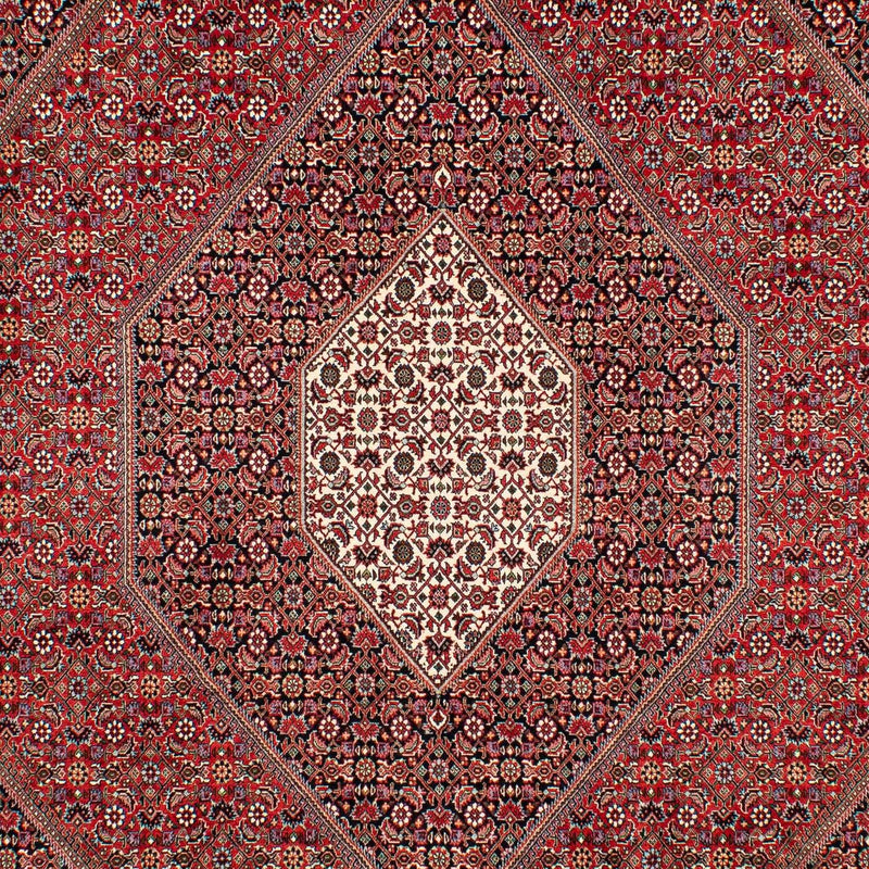 Bidjar Tapete 307x205cm - Tapete persa