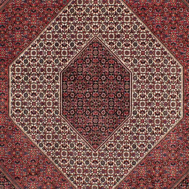 Bidjar Tapete 300x206cm - Tapete persa