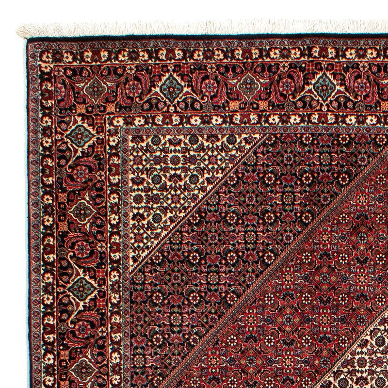 Bidjar Tapete 300x206cm - Tapete persa