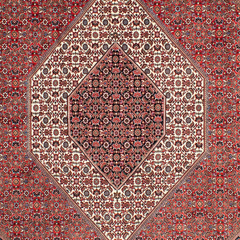 Bidjar Tapete 203x300cm - Tapete persa