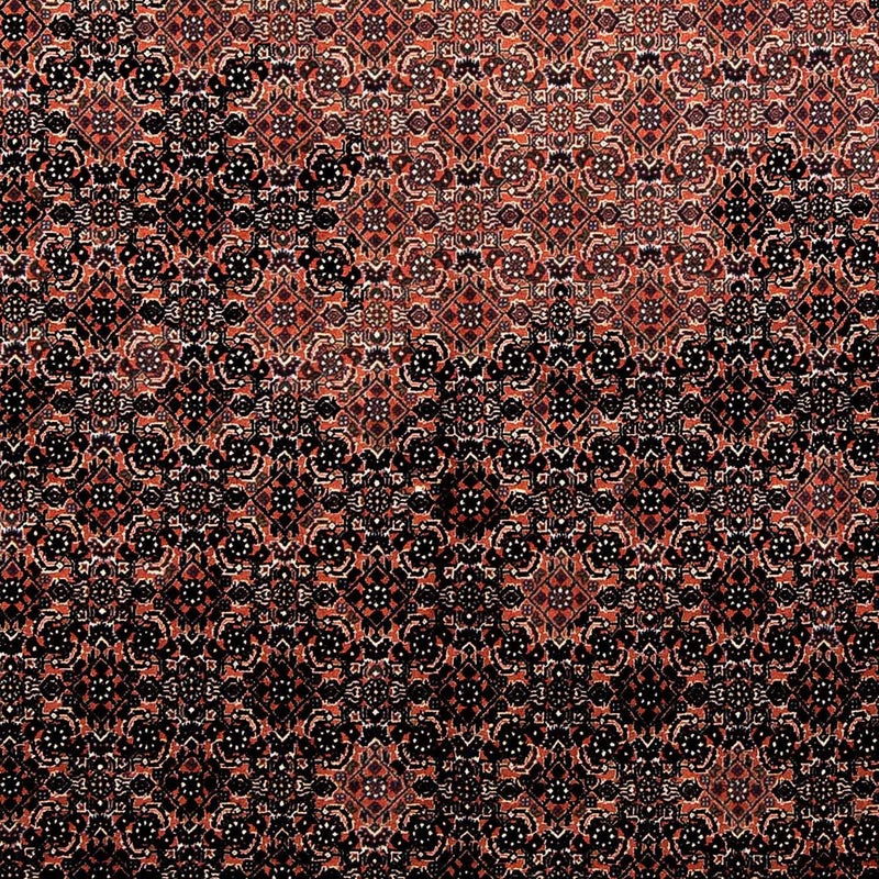 Bidjar Tapete 250x173cm - Tapete persa